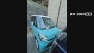 岡崎・花園緑地からの落石で軽乗用車２台損傷　住宅敷地に駐車中、長さ20センチ以上の石が落下　天井がへこむなど被害