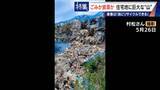 「住民を悩ませる“巨大な山”はごみ？資源？ 飛散･崩落･異臭…市内に約3万トン 業者は｢油にリサイクルする原料｣ 愛知･豊橋市」の画像6