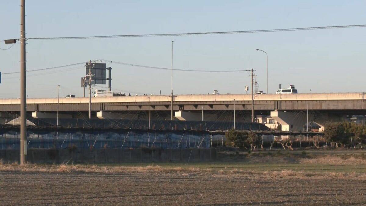 ｢ブタが道路にいる｣ 国道に少なくとも14頭が逃げ出す 一時通行止め  一般道に逃げたブタも… 愛知･西尾市の国道23号