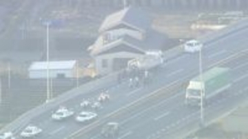 【速報】｢豚が道路にいる｣ 国道に少なくとも14頭の豚が逃げ出す 一部区間で通行止め 一般道に逃げた豚も… 愛知･西尾市の国道23号
