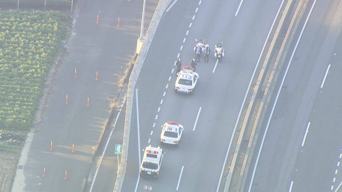 ｢ブタが道路にいる｣ 国道に少なくとも14頭が逃げ出す 一時通行止め  一般道に逃げたブタも… 愛知･西尾市の国道23号