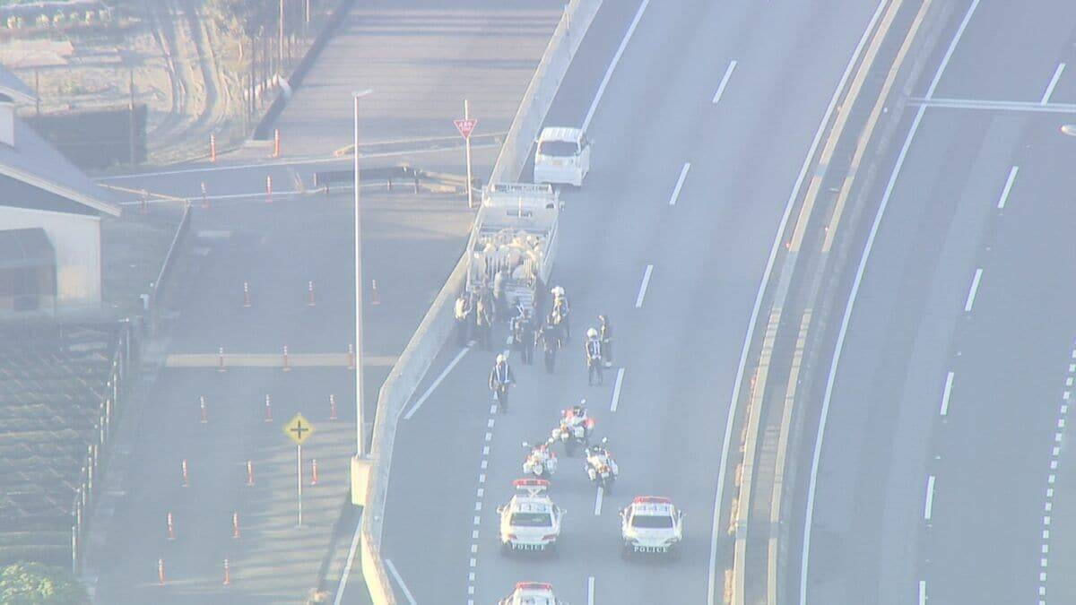 ｢ブタが道路にいる｣ 国道に少なくとも14頭が逃げ出す 一時通行止め  一般道に逃げたブタも… 愛知･西尾市の国道23号