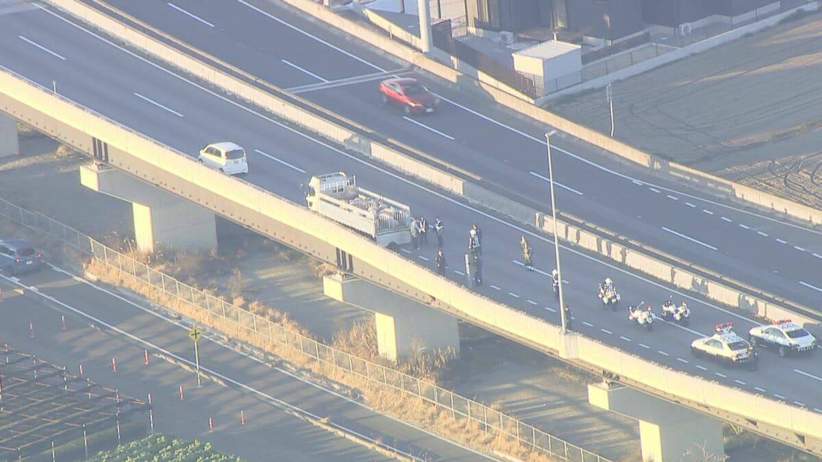 ｢ブタが道路にいる｣ 国道に少なくとも14頭が逃げ出す 一時通行止め  一般道に逃げたブタも… 愛知･西尾市の国道23号