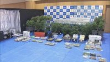 県内で“過去最大規模”の乾燥大麻を押収 夫婦を逮捕 営利目的で所持していた疑い 大量に売りさばくため栽培か 三重･志摩市