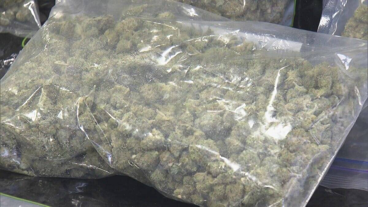 県内で“過去最大規模”の乾燥大麻を押収 夫婦を逮捕 営利目的で所持していた疑い 大量に売りさばくため栽培か 三重･志摩市