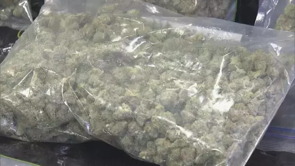 「県内で“過去最大規模”の乾燥大麻を押収 夫婦を逮捕 営利目的で所持していた疑い 大量に売りさばくため栽培か 三重･志摩市」の画像