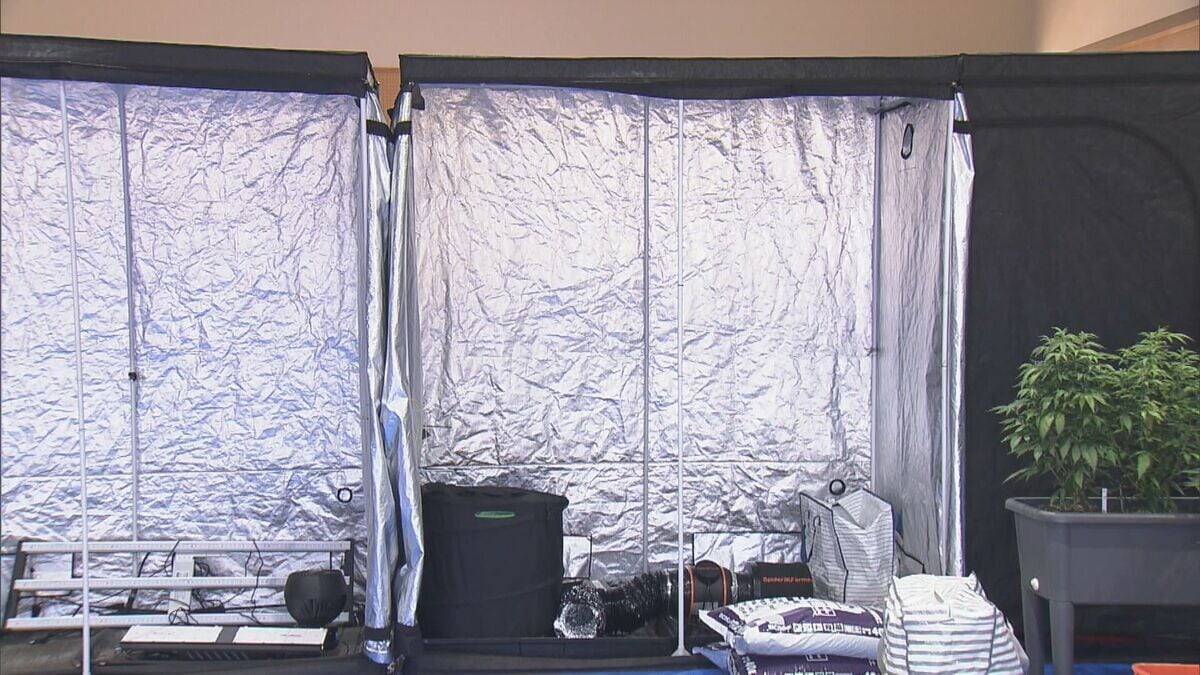 県内で“過去最大規模”の乾燥大麻を押収 夫婦を逮捕 営利目的で所持していた疑い 大量に売りさばくため栽培か 三重･志摩市