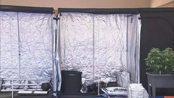 「県内で“過去最大規模”の乾燥大麻を押収 夫婦を逮捕 営利目的で所持していた疑い 大量に売りさばくため栽培か 三重･志摩市」の画像