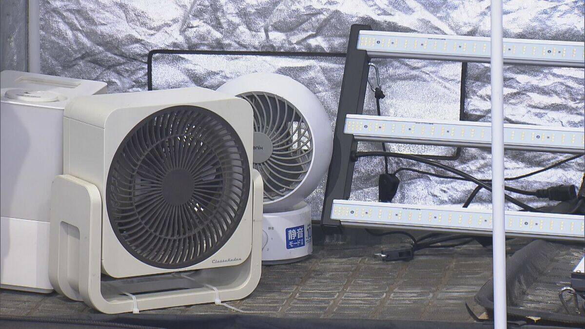 県内で“過去最大規模”の乾燥大麻を押収 夫婦を逮捕 営利目的で所持していた疑い 大量に売りさばくため栽培か 三重･志摩市