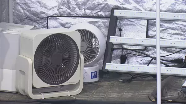 「県内で“過去最大規模”の乾燥大麻を押収 夫婦を逮捕 営利目的で所持していた疑い 大量に売りさばくため栽培か 三重･志摩市」の画像