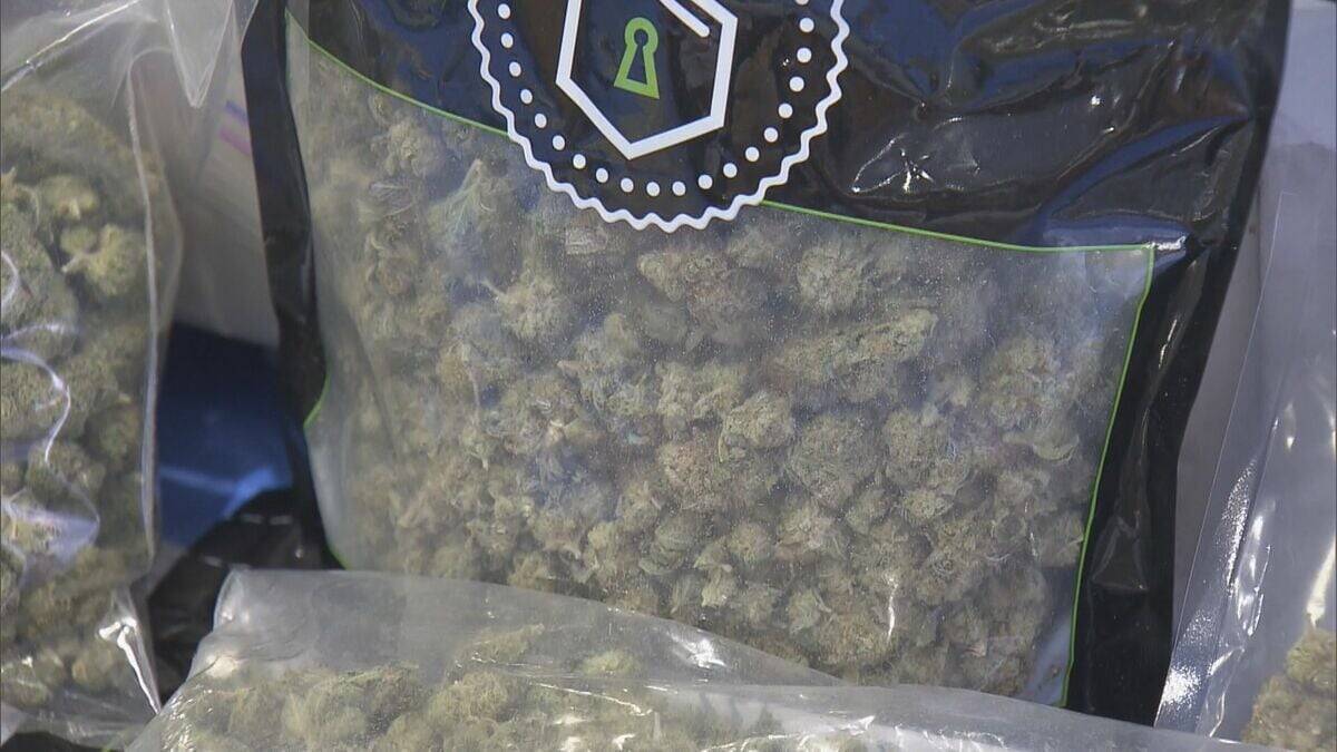 県内で“過去最大規模”の乾燥大麻を押収 夫婦を逮捕 営利目的で所持していた疑い 大量に売りさばくため栽培か 三重･志摩市