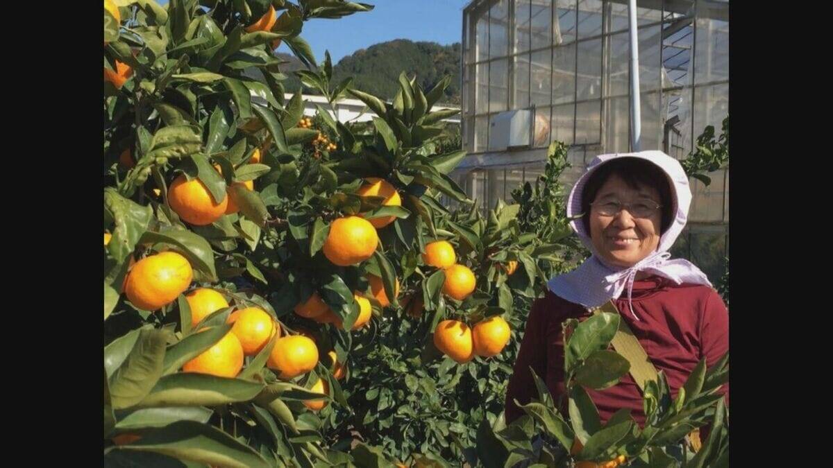 「母のことを忘れることなかった」愛知・蒲郡市の女性殺害“未解決”10年 犯人は今どこへ？名古屋主婦殺人事件の遺族・高羽悟さんもビラ配りに参加