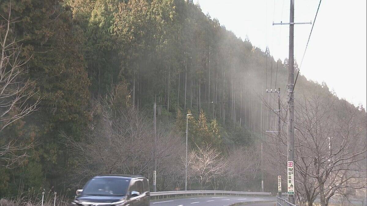 “雨上がりの強風”で東海地方は花粉が大量飛散 スギ林では煙のように舞い上がる…ことしは平年に比べ飛散予測が1.3倍