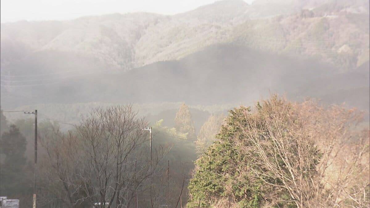 “雨上がりの強風”で東海地方は花粉が大量飛散 スギ林では煙のように舞い上がる…ことしは平年に比べ飛散予測が1.3倍