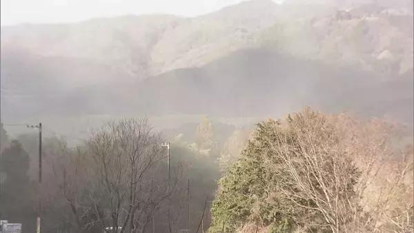 「“雨上がりの強風”で東海地方は花粉が大量飛散 スギ林では煙のように舞い上がる…ことしは平年に比べ飛散予測が1.3倍」の画像