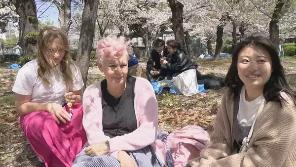 「桜満開の名古屋･鶴舞公園 平日も花見客で大にぎわい 県外や海外から訪れた人も…｢すごく素敵、来て良かった｣ 名古屋･昭和区」の画像