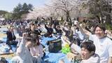 「桜満開の名古屋･鶴舞公園 平日も花見客で大にぎわい 県外や海外から訪れた人も…｢すごく素敵、来て良かった｣ 名古屋･昭和区」の画像8