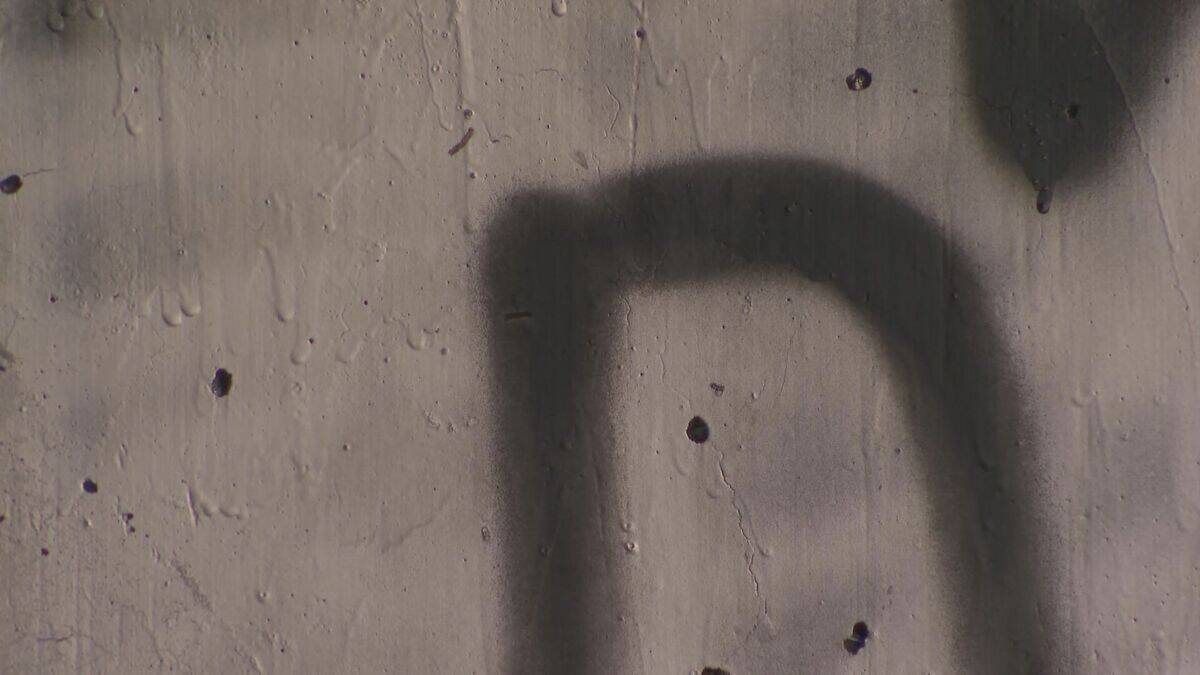 職務質問しようとした警察官を突き飛ばした疑い 自衛官の男を現行犯逮捕 ｢スプレーで落書きをしている…｣との通報で駆け付けた警察官に…愛知・江南市