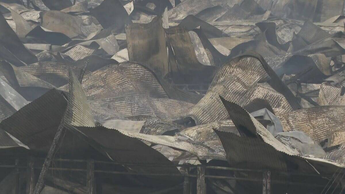 ブタ約2000頭が死ぬ 養豚場で火事… 木造平屋建ての豚舎4棟が全焼 愛知･西尾市