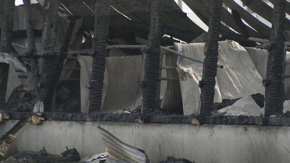 ブタ約2000頭が死ぬ 養豚場で火事… 木造平屋建ての豚舎4棟が全焼 愛知･西尾市