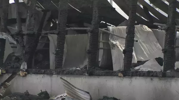 「ブタ約2000頭が死ぬ 養豚場で火事… 木造平屋建ての豚舎4棟が全焼 愛知･西尾市」の画像