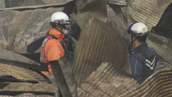 「ブタ約2000頭が死ぬ 養豚場で火事… 木造平屋建ての豚舎4棟が全焼 愛知･西尾市」の画像