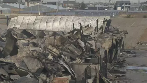 「ブタ約2000頭が死ぬ 養豚場で火事… 木造平屋建ての豚舎4棟が全焼 愛知･西尾市」の画像