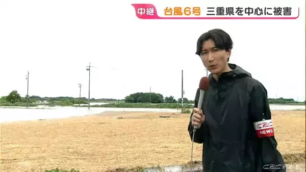 収穫間近の小麦 台風6号の影響で田んぼが“湖”のように…｢今年はちょっと厳しい｣ 三重県を中心に被害