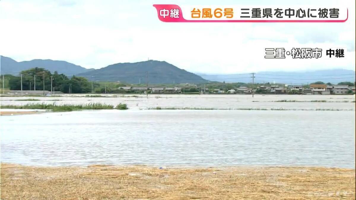 収穫間近の小麦 台風6号の影響で田んぼが“湖”のように…｢今年はちょっと厳しい｣ 三重県を中心に被害