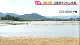 「収穫間近の小麦 台風6号の影響で田んぼが“湖”のように…｢今年はちょっと厳しい｣ 三重県を中心に被害」の画像2