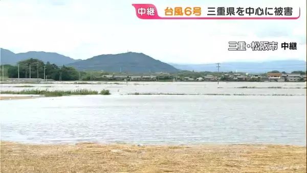 「収穫間近の小麦 台風6号の影響で田んぼが“湖”のように…｢今年はちょっと厳しい｣ 三重県を中心に被害」の画像