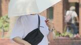 「｢地球バグってるんじゃないか｣ 三重･桑名は40.6℃で“全国一の暑さ”に 朝晩も水分補給など熱中症対策を」の画像2