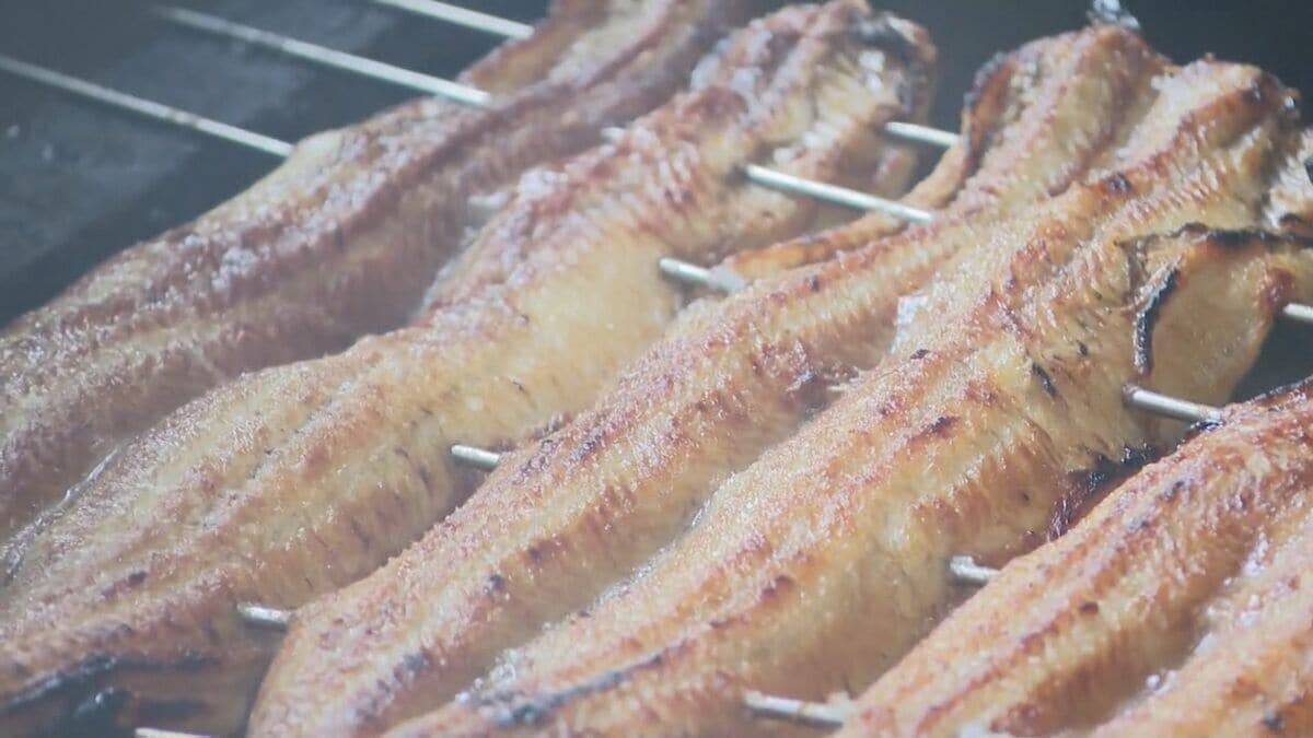 さばくウナギは“1日約60キロ” 土用の丑を前に専門店は大賑わい 焼き場の体感は｢50～60℃くらい｣も暑さ対策は… 三重・津市