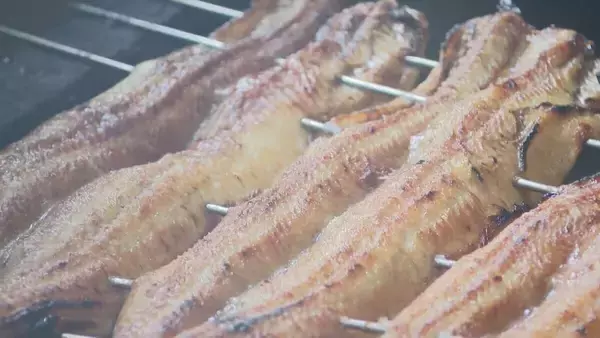 「さばくウナギは“1日約60キロ” 土用の丑を前に専門店は大賑わい 焼き場の体感は｢50～60℃くらい｣も暑さ対策は… 三重・津市」の画像