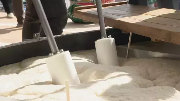 「3月1日の｢国府宮はだか祭｣を前に重さ約4トンの大鏡餅の餅つき “神男”はじめ約2000人が参加  もち米は価格高騰の中 奉賛会が育て66俵分を確保」の画像