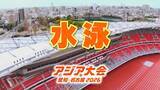 「【選手一覧】水泳 池江璃花子・村佐達也など 競泳・飛込・アーティスティックスイミングの代表選手　【アジア大会2026】」の画像1