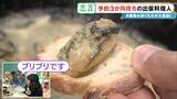 「“冷蔵庫の余り物”が3時間で12品の豪華料理に! 予約3か月待ちの出張料理人 イタリアン･和食･スペイン料理…｢おいしいは当たり前｣」の画像12