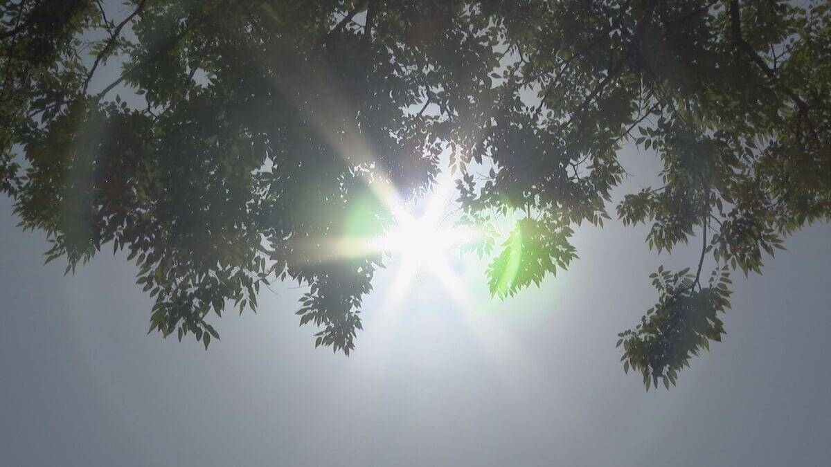 ｢まだ5月なのに…｣ 名古屋と岐阜は2日連続の真夏日？予想最高気温31℃ 高山は真夏並みの32℃予想 熱中症に注意