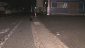 82歳の男性が軽ワンボックスカーにはねられ意識不明の重体 三重・桑名市の県道63号