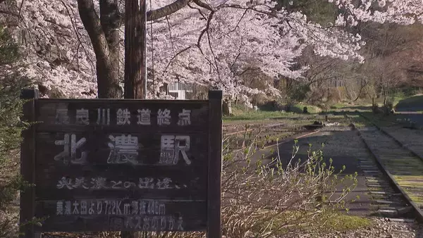 250ｍ続く“桜のトンネル”駅の食堂から眺める春限定の絶景 ｢特等席、ずっと大切にして｣ 長良川鉄道･北の終着駅 岐阜
