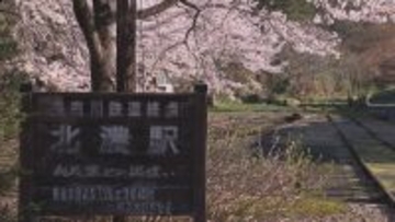 250ｍ続く“桜のトンネル”駅の食堂から眺める春限定の絶景 ｢特等席、ずっと大切にして｣ 長良川鉄道･北の終着駅 岐阜