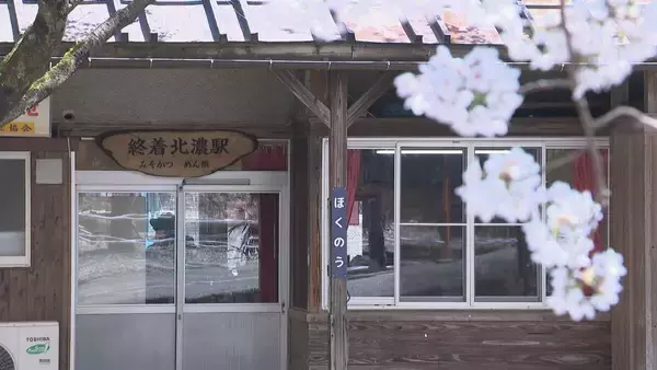 「250ｍ続く“桜のトンネル”駅の食堂から眺める春限定の絶景 ｢特等席、ずっと大切にして｣ 長良川鉄道･北の終着駅 岐阜」の画像