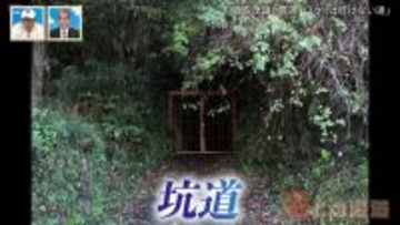 浸水した立ち入り禁止の坑道に佇む“謎の鳥居”！？岐阜にあるかつての軍需工場を道マニアが紹介【道との遭遇】