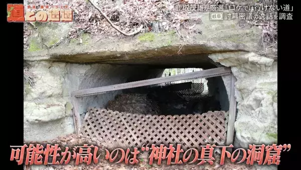 「浸水した立ち入り禁止の坑道に佇む“謎の鳥居”！？岐阜にあるかつての軍需工場を道マニアが紹介【道との遭遇】」の画像