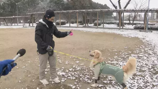 「スリップ事故相次ぐ… 名古屋で今季初の積雪 岐阜･高山市では最大20センチ 白川村では61センチの積雪 “今季最強寒波”襲来」の画像