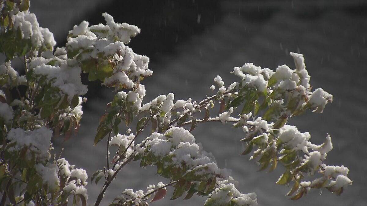 東海地方25日昼前にかけて大雪のおそれ　高速道路が予防的通行止めに
