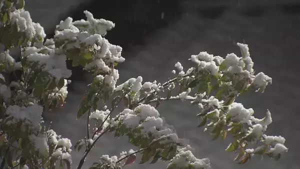 「東海地方25日昼前にかけて大雪のおそれ　高速道路が予防的通行止めに」の画像
