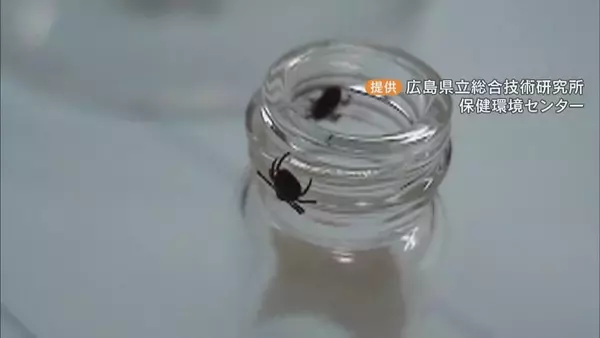 マダニ感染症｢SFTS｣ 80代女性が感染 病院で治療続く… 愛知県内での確認はことし初 冬も注意を 豊田市