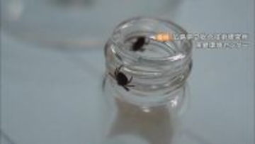 マダニ感染症｢SFTS｣ 80代女性が感染 病院で治療続く… 愛知県内での確認はことし初 冬も注意を 豊田市