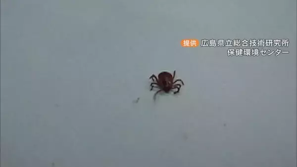 「マダニ感染症｢SFTS｣ 80代女性が感染 病院で治療続く… 愛知県内での確認はことし初 冬も注意を 豊田市」の画像